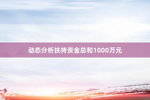 动态分析扶持资金总和1000万元