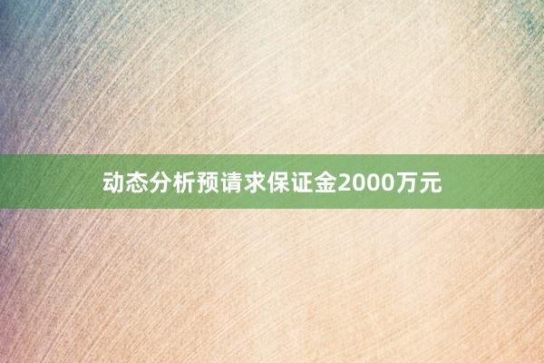 动态分析预请求保证金2000万元