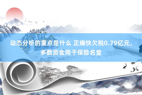 动态分析的重点是什么 正痛快欠税0.79亿元，多数资金用于保险名堂