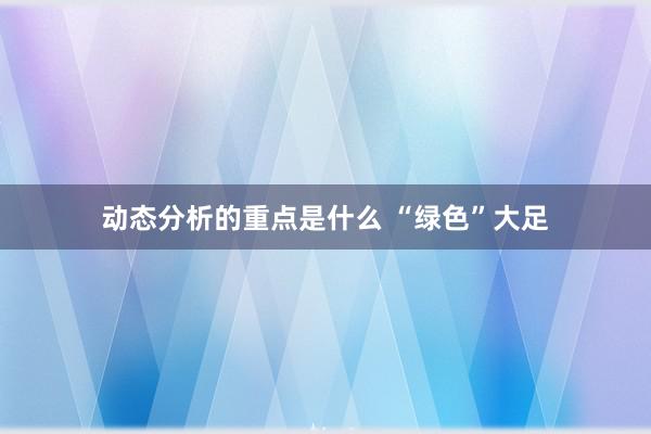 动态分析的重点是什么 “绿色”大足