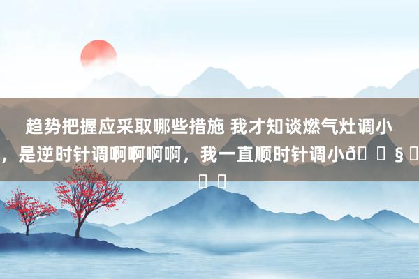 趋势把握应采取哪些措施 我才知谈燃气灶调小火，是逆时针调啊啊啊啊，我一直顺时针调小😧 ​​