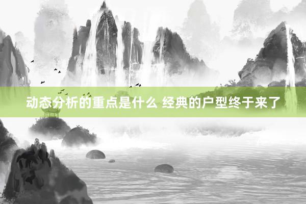 动态分析的重点是什么 经典的户型终于来了