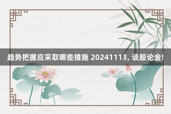 趋势把握应采取哪些措施 20241113, 谈股论金!