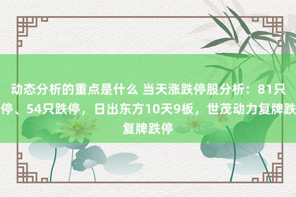 动态分析的重点是什么 当天涨跌停股分析：81只涨停、54只跌停，日出东方10天9板，世茂动力复牌跌停