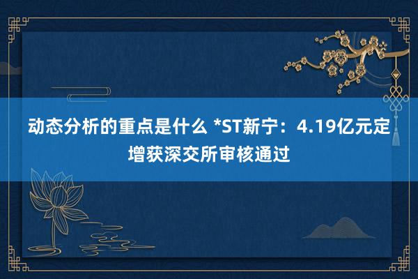 动态分析的重点是什么 *ST新宁：4.19亿元定增获深交所审核通过