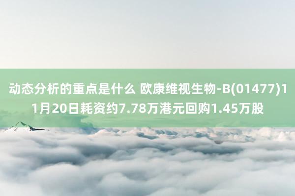 动态分析的重点是什么 欧康维视生物-B(01477)11月20日耗资约7.78万港元回购1.45万股