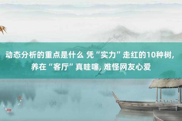 动态分析的重点是什么 凭“实力”走红的10种树, 养在“客厅”真哇噻, 难怪网友心爱