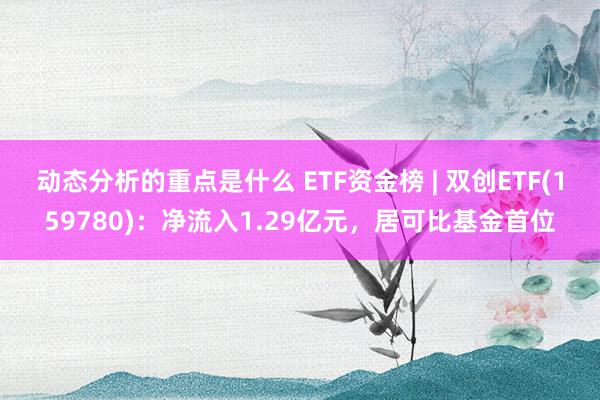 动态分析的重点是什么 ETF资金榜 | 双创ETF(159780)：净流入1.29亿元，居可比基金首位