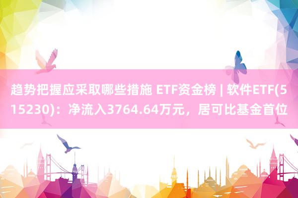 趋势把握应采取哪些措施 ETF资金榜 | 软件ETF(515230)：净流入3764.64万元，居可比基金首位