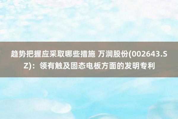 趋势把握应采取哪些措施 万润股份(002643.SZ)：领有触及固态电板方面的发明专利