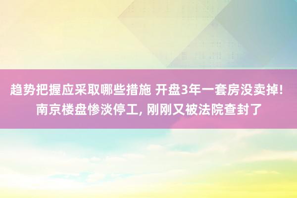 趋势把握应采取哪些措施 开盘3年一套房没卖掉! 南京楼盘惨淡停工, 刚刚又被法院查封了