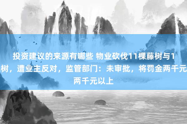 投资建议的来源有哪些 物业砍伐11棵藤树与1棵樟树，遭业主反对，监管部门：未审批，将罚金两千元以上