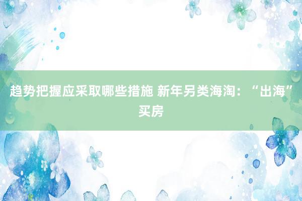 趋势把握应采取哪些措施 新年另类海淘：“出海”买房