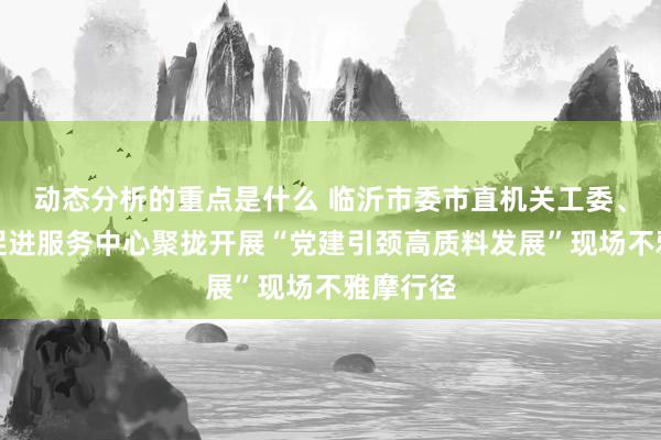 动态分析的重点是什么 临沂市委市直机关工委、市投资促进服务中心聚拢开展“党建引颈高质料发展”现场不雅摩行径