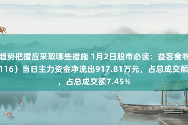 趋势把握应采取哪些措施 1月2日股市必读：益客食物（301116）当日主力资金净流出917.81万元，占总成交额7.45%