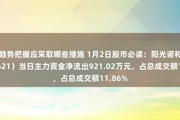 趋势把握应采取哪些措施 1月2日股市必读：阳光诺和（688621）当日主力资金净流出921.02万元，占总成交额11.86%