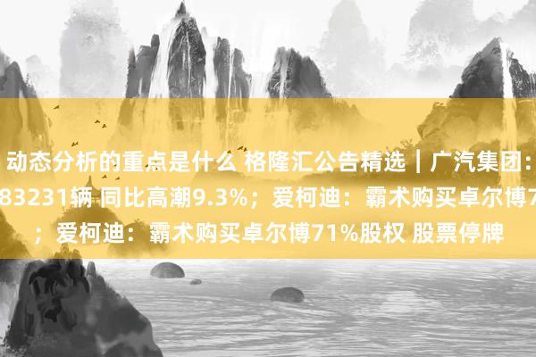 动态分析的重点是什么 格隆汇公告精选︱广汽集团：12月汽车销量为283231辆 同比高潮9.3%；爱柯迪：霸术购买卓尔博71%股权 股票停牌