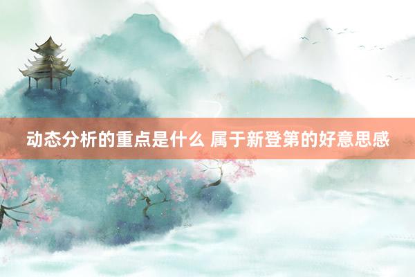 动态分析的重点是什么 属于新登第的好意思感