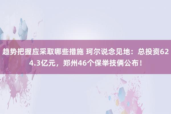 趋势把握应采取哪些措施 珂尔说念见地：总投资624.3亿元，郑州46个保举技俩公布！