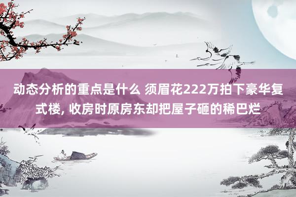 动态分析的重点是什么 须眉花222万拍下豪华复式楼, 收房时原房东却把屋子砸的稀巴烂