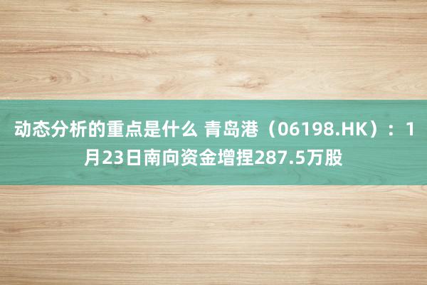 动态分析的重点是什么 青岛港（06198.HK）：1月23日南向资金增捏287.5万股