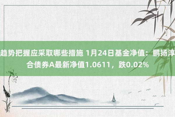 趋势把握应采取哪些措施 1月24日基金净值：鹏扬淳合债券A最新净值1.0611，跌0.02%