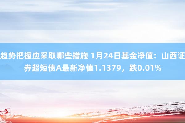 趋势把握应采取哪些措施 1月24日基金净值：山西证券超短债A最新净值1.1379，跌0.01%